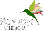 Pure Vibe Kombucha