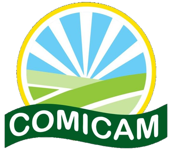 Comicam